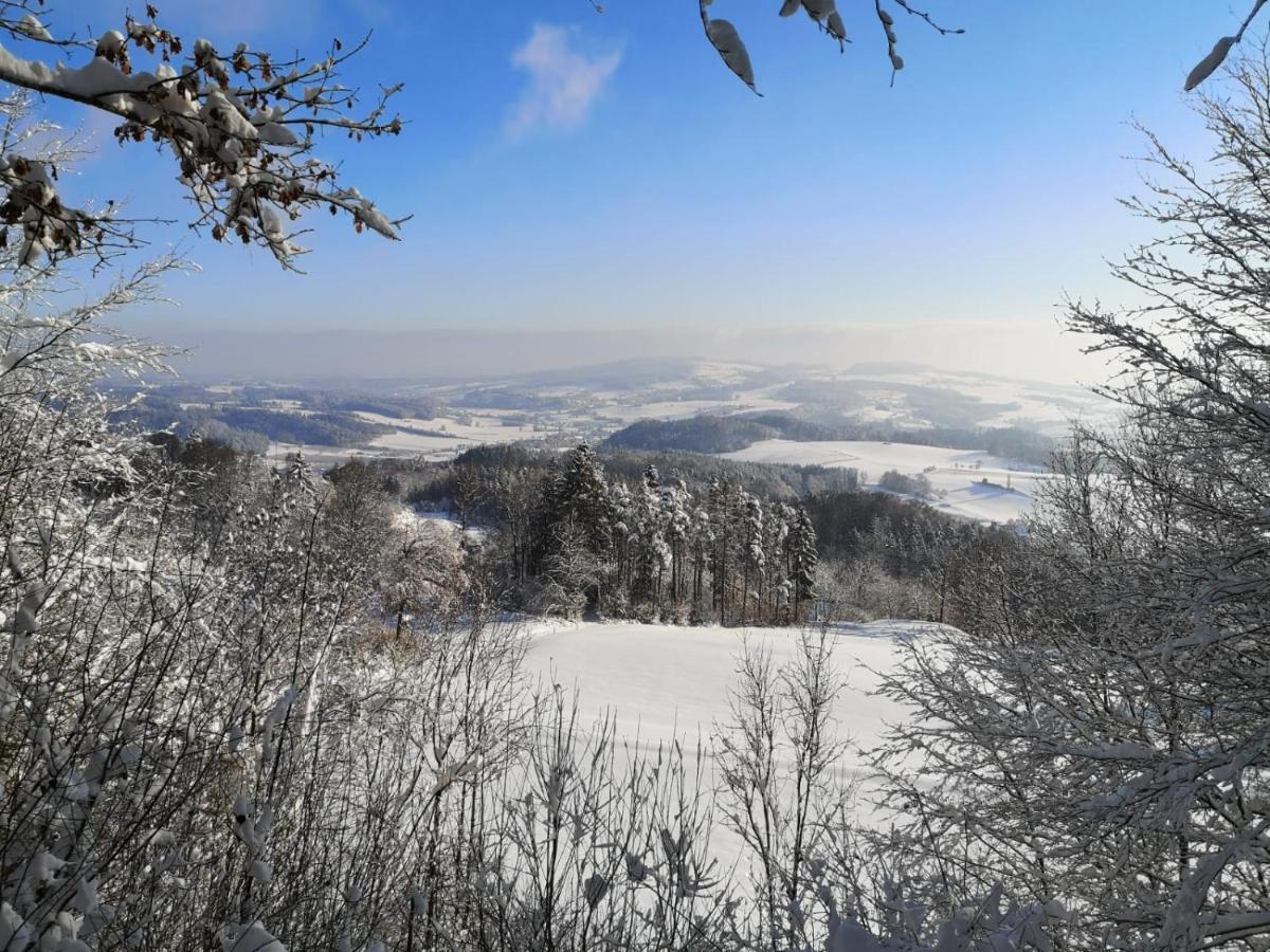Apartment Loft Ueber Dem Bodensee